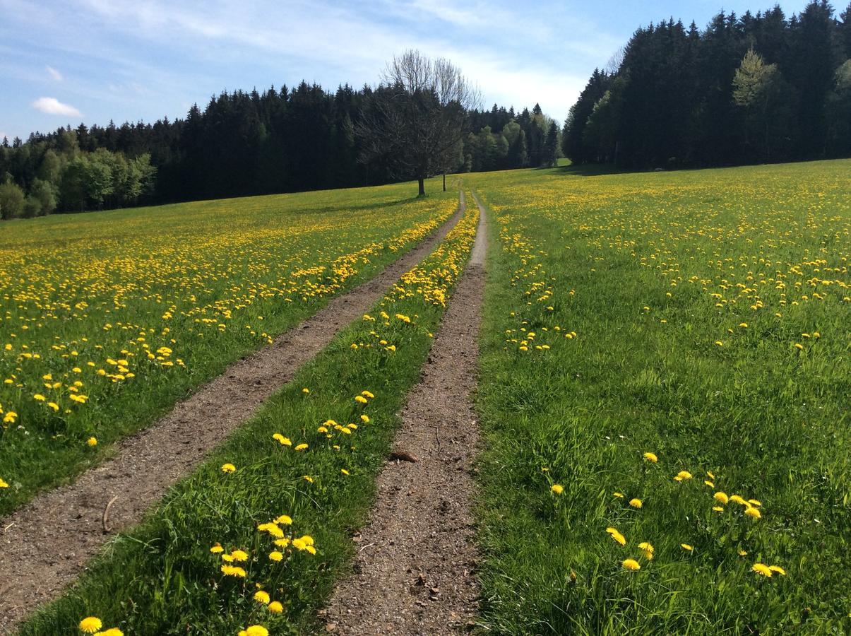 Ferienbauernhof Koller * Helfenberg
