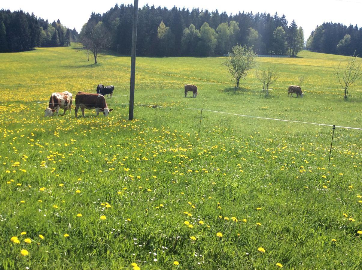 Ferienbauernhof Koller Farm stay *