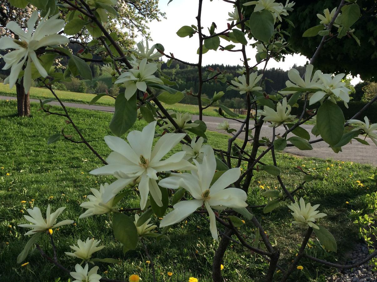 Farm stay Ferienbauernhof Koller Helfenberg