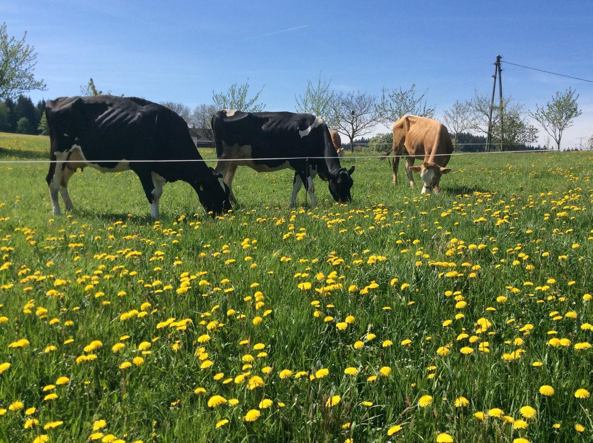 Ferienbauernhof Koller *