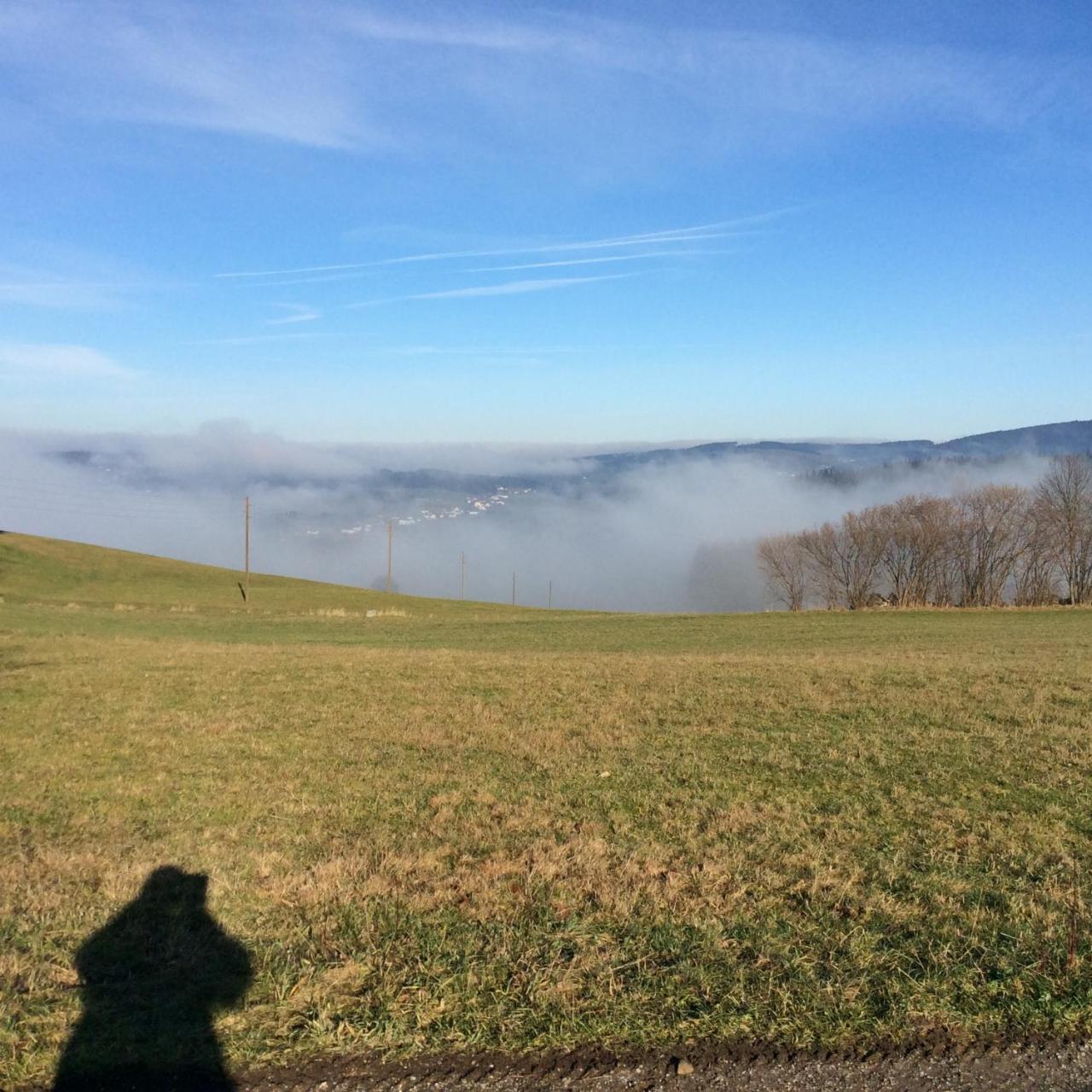 Ferienbauernhof Koller