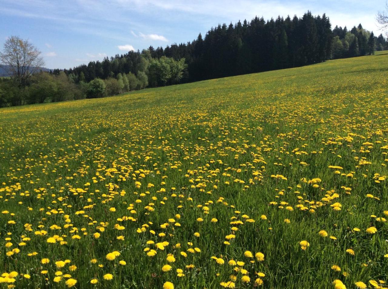 Farm stay Ferienbauernhof Koller