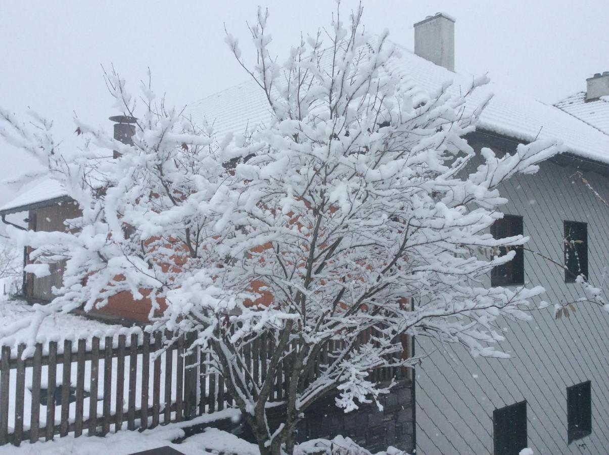 Ferienbauernhof Koller Farm stay *